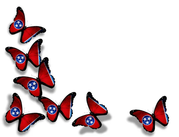 テネシー州旗、蝶、白い背景で隔離 — ストック写真