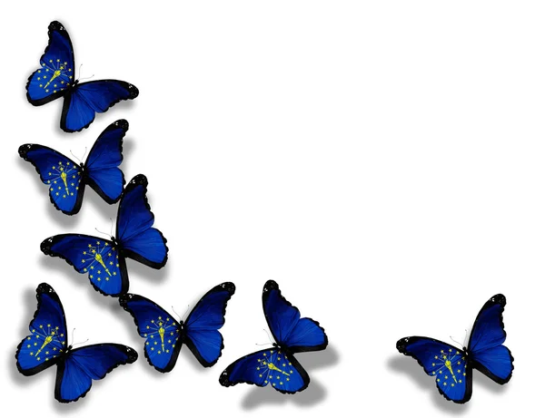 Indiana Flagge Schmetterlinge, isoliert auf weißem Hintergrund — Stockfoto