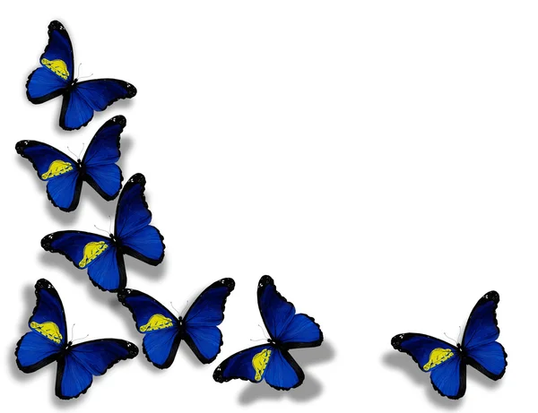 俄勒冈州旗蝴蝶，在白色背景上孤立 — 图库照片