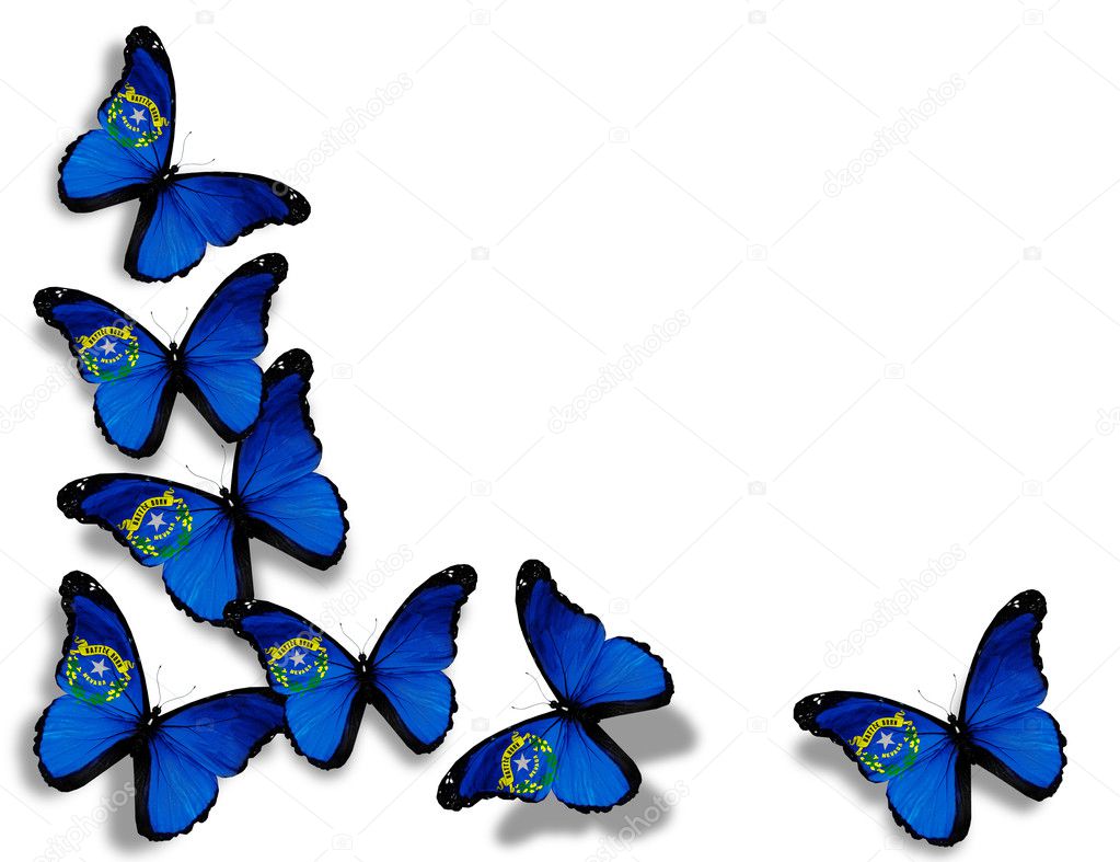 Nevada flag butterflies, isolated on white background — Stock Photo ...