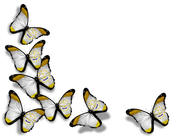 Rhode island vlag vlinders, geïsoleerd op witte achtergrond — Stockfoto