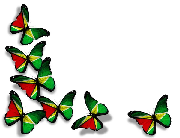 Guyana vlajky motýly, izolovaných na bílém pozadí — Stock fotografie