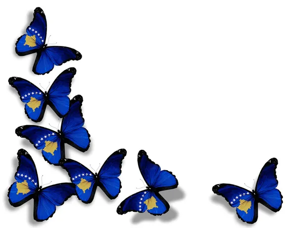 Kosovo vlag vlinders, geïsoleerd op witte achtergrond — Stockfoto