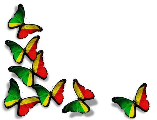 Republic Congo flag butterflies, isolated on white background — Stock Photo, Image