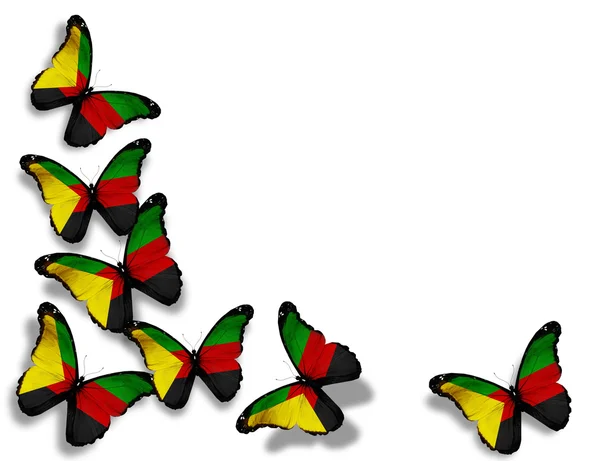 Azawad vlag vlinders, geïsoleerd op witte achtergrond — Stockfoto