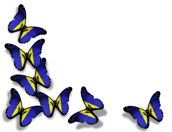 Бабочки под флагом Барбадоса, изолированные на белом фоне — стоковое фото
