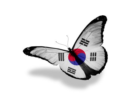 Güney Kore bayrağı kelebek uçuyor, izole üzerinde beyaz arka plan
