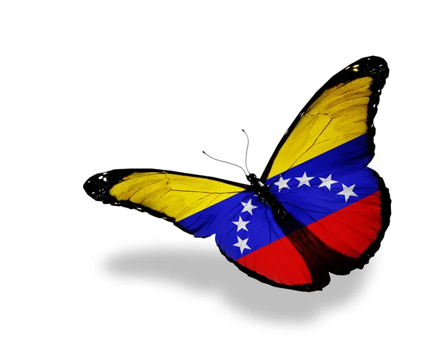 Bandeira venezuelana borboleta voando, isolada em fundo branco — Fotografia de Stock
