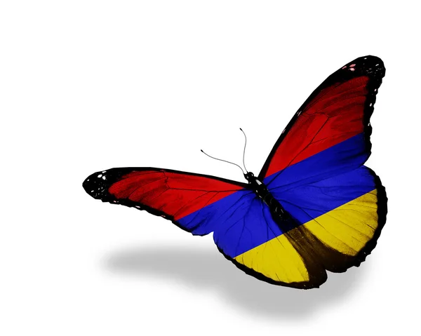 Ermenistan bayrağı kelebek uçuyor, izole üzerinde beyaz arka plan — Stok fotoğraf