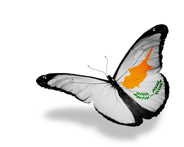 Кипрский флаг бабочка летит, изолированные на белом фоне — стоковое фото
