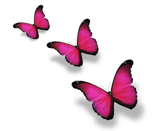 Three pink butterflies, isolated on white — Stock Photo, Image