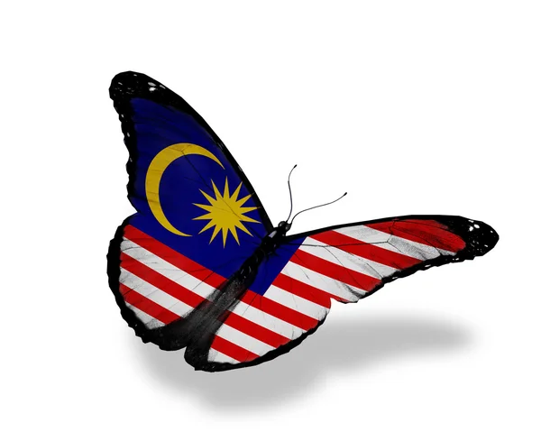 Fluture de steag malaezian care zboară, izolat pe fundal alb — Fotografie, imagine de stoc