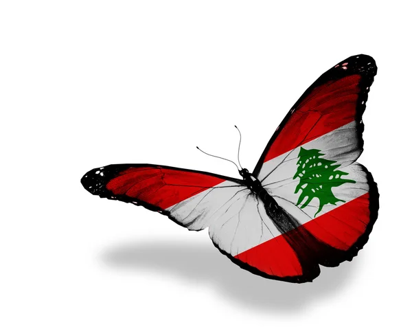 Bandiera libanese farfalla in volo, isolata su sfondo bianco — Foto Stock