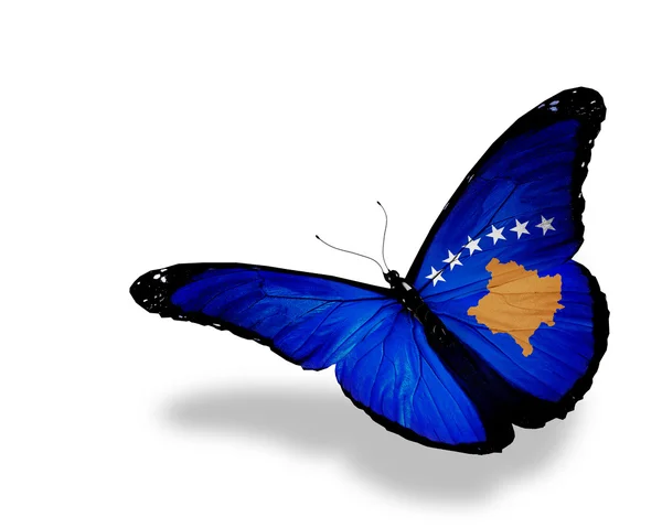 Kosowo Flagge Schmetterling fliegen, isoliert auf weißem Hintergrund — Stockfoto