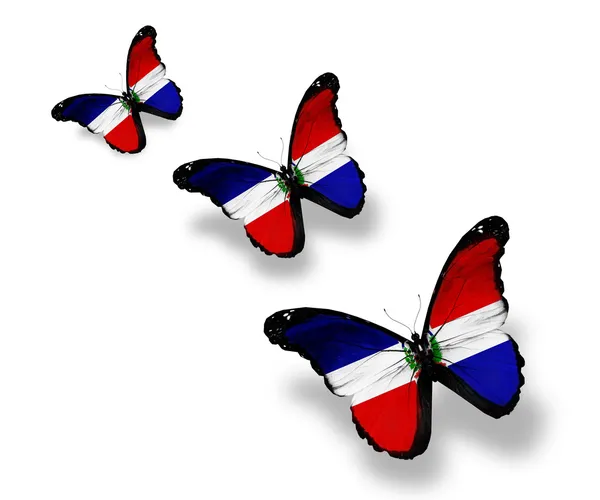 Drei Schmetterlinge der Flagge der Dominikanischen Republik, isoliert auf weiß — Stockfoto