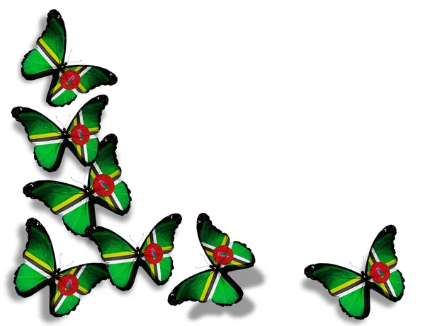 Dominica-Flagge Schmetterlinge, isoliert auf weißem Hintergrund — Stockfoto
