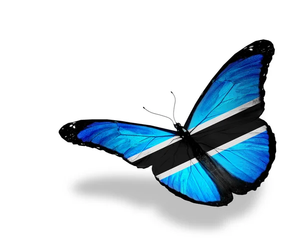Botsvana bayrağı kelebek uçuyor, izole üzerinde beyaz arka plan — Stok fotoğraf