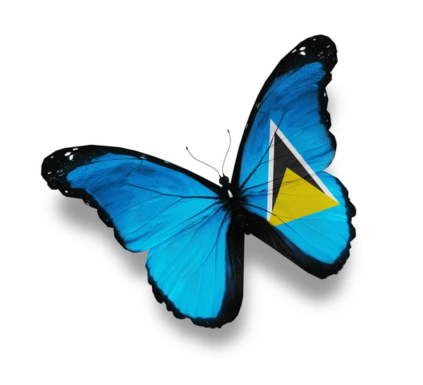 Vlag van saint lucia vlinder, geïsoleerd op wit — Stockfoto