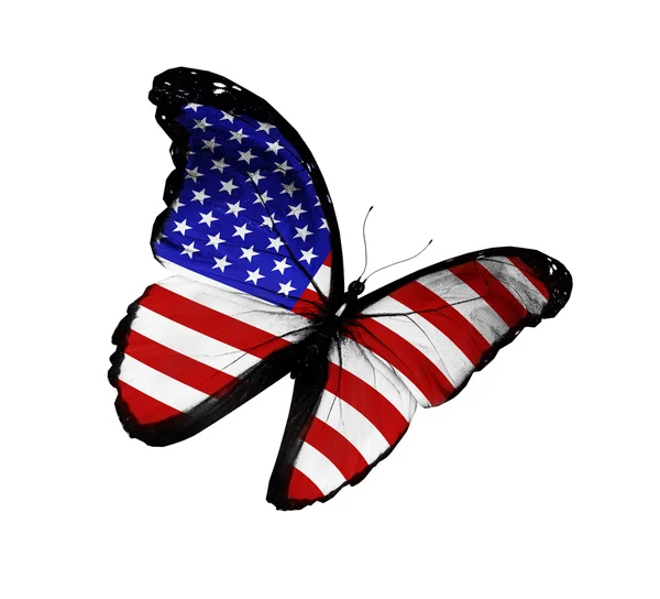 Американский флаг бабочка летит, изолированные на белом фоне — стоковое фото