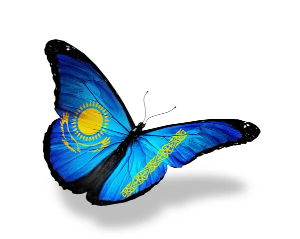 Флаг Казахстана летит бабочка, изолированная на белом фоне — стоковое фото