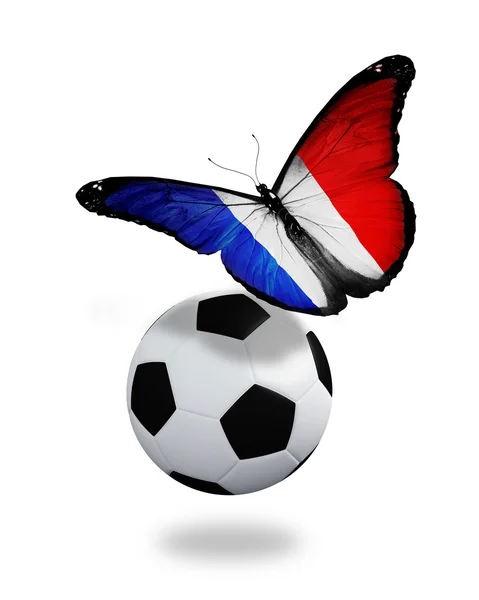 Conceito - borboleta com bandeira francesa voando perto da bola, como — Fotografia de Stock