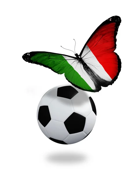 Concepto - mariposa con bandera italiana volando cerca de la pelota, lik — Foto de Stock