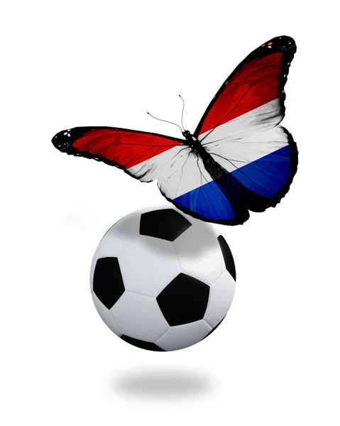 Conceito - borboleta com bandeira holandesa voando perto do bal — Fotografia de Stock