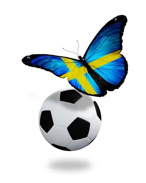 Concepto - mariposa con bandera sueca volando cerca de la pelota, lik —  Fotos de Stock