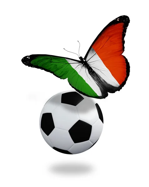 Conceito - borboleta com bandeira irlandesa voando perto da bola, como f — Fotografia de Stock