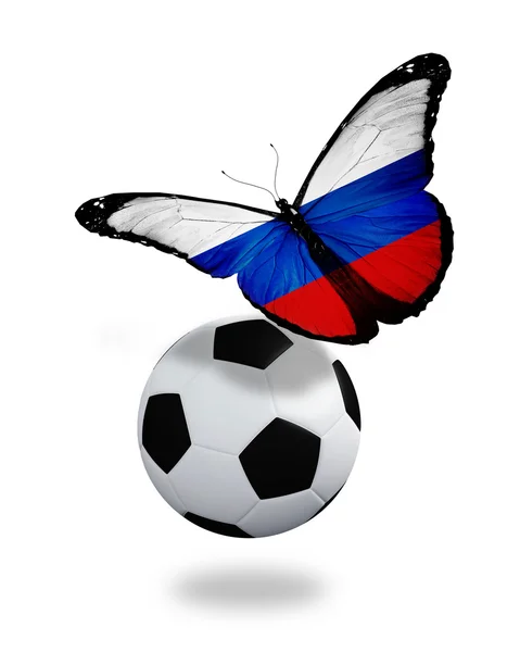 Концепция - бабочка с российским флагом, летящим рядом с мячом, как — стоковое фото