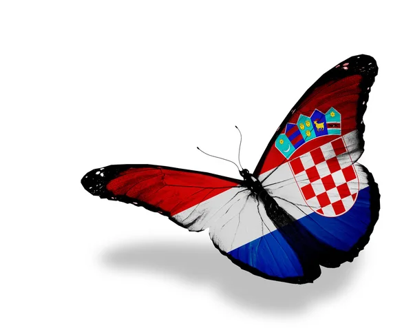 Bandera croata mariposa volando, aislado sobre fondo blanco —  Fotos de Stock