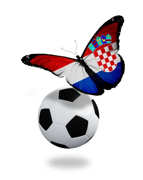 Concepto - mariposa con bandera croata volando cerca de la pelota, lik —  Fotos de Stock