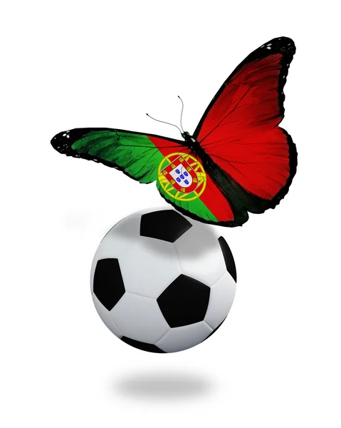 Концепция - бабочка с португальским флагом рядом с мячом, л — стоковое фото
