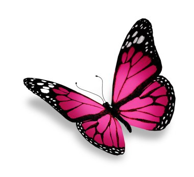 Pink butterfly, isolated on white background clipart