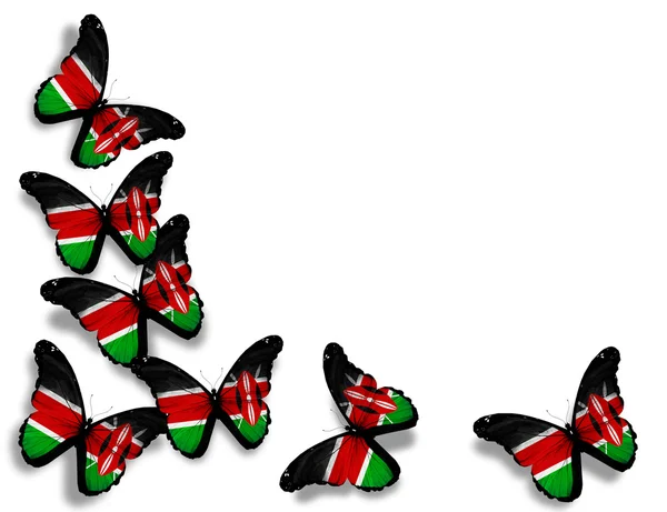 Farfalle bandiera del Kenya, isolate su sfondo bianco — Foto Stock