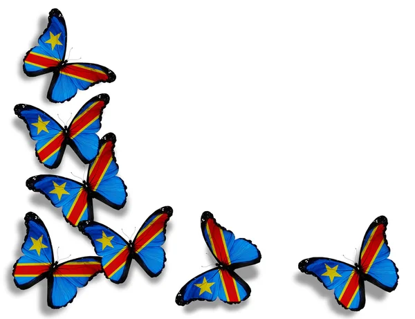 Demokratyczna Republika Konga flaga motyle, na w tle — Zdjęcie stockowe