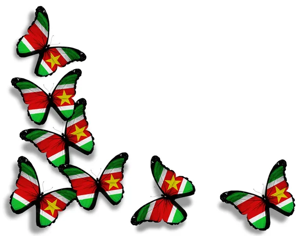 Бабочки с флагом Республики Суринам, изолированные на белой спине — стоковое фото