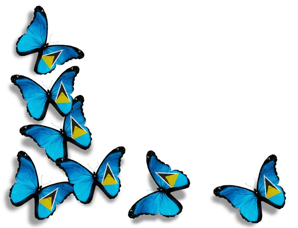 Saint Lucia flag butterflies, isolated on white background — Stock Photo, Image