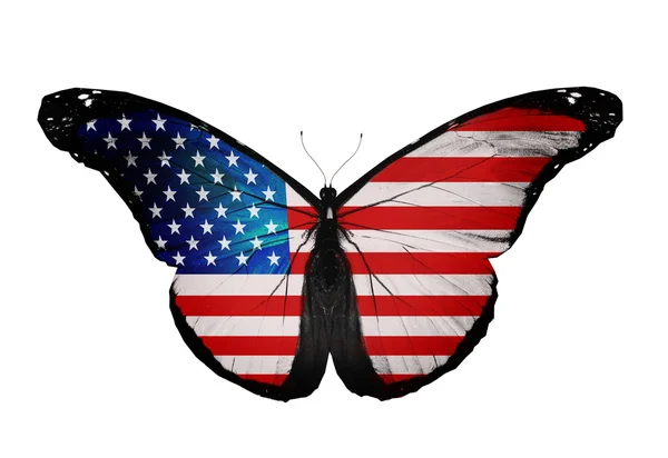 Bandiera americana farfalla in volo, isolata su sfondo bianco — Foto Stock