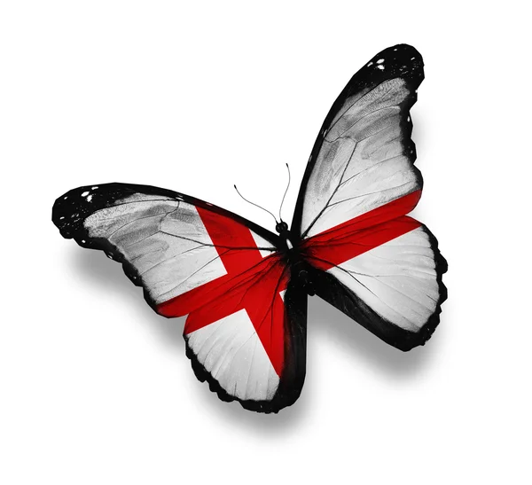 Anglická vlajka motýl, izolované na bílém — Stock fotografie