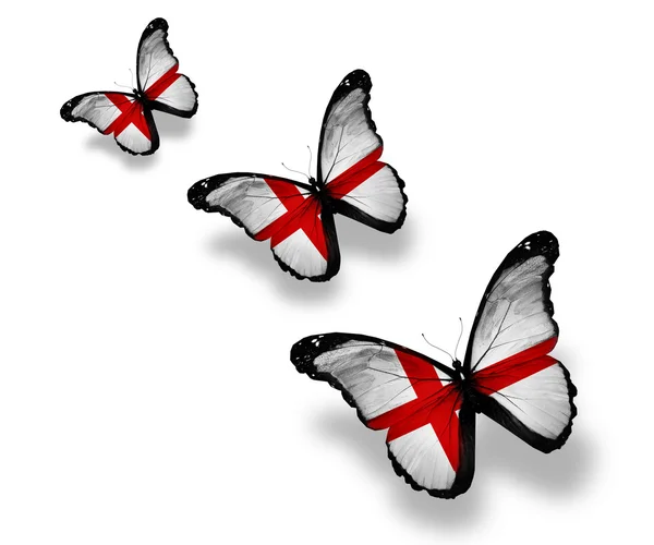 Kelebekler, üzerinde beyaz izole üç İngiliz bayrağı — Stok fotoğraf