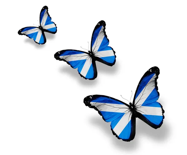 3 스코틀랜드 깃발 나비, 흰색 절연 — 스톡 사진