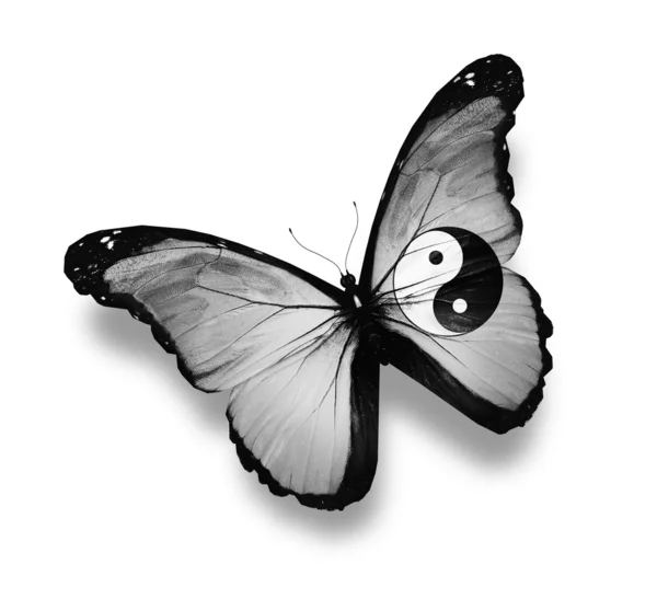 Бабочка с флагом Дао, изолированная на белом — стоковое фото