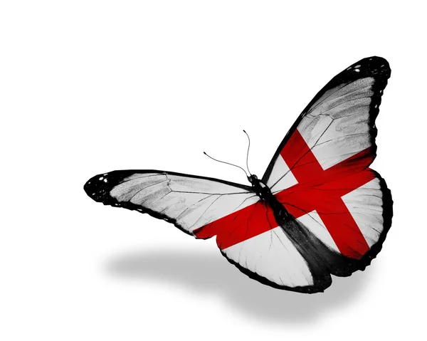 Anglická vlajka motýl létání, izolované na bílém pozadí — Stock fotografie