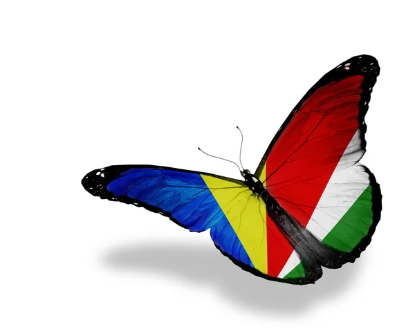 Seychelse vlag vlinder vliegen, geïsoleerde op witte achtergrond — Stockfoto