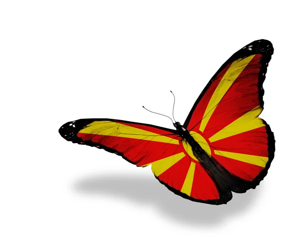 Македонский флаг бабочка летит, изолированные на белом фоне — стоковое фото