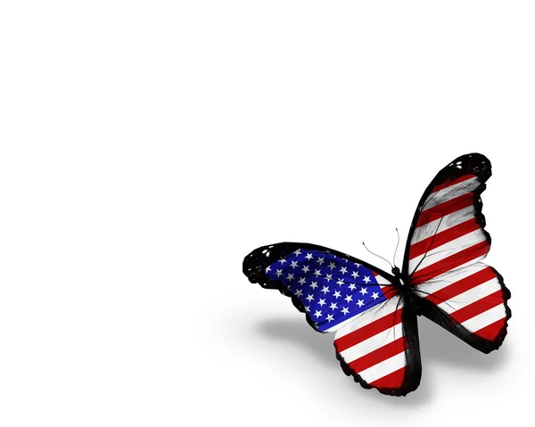 Americká vlajka motýl, izolovaných na bílém pozadí — Stock fotografie