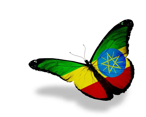 Drapeau éthiopien papillon volant, isolé sur fond blanc — Photo