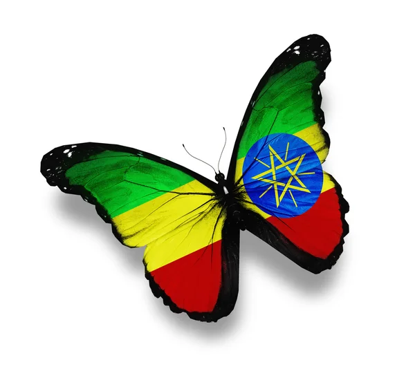 Gabonees vlag vlinder, geïsoleerd op wit — Stockfoto