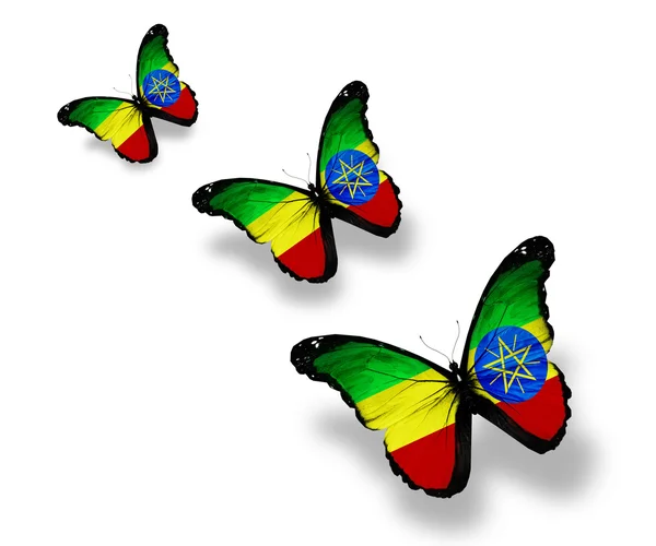 Three Ethiopia flag butterflies, isolated on white — Stock Photo, Image